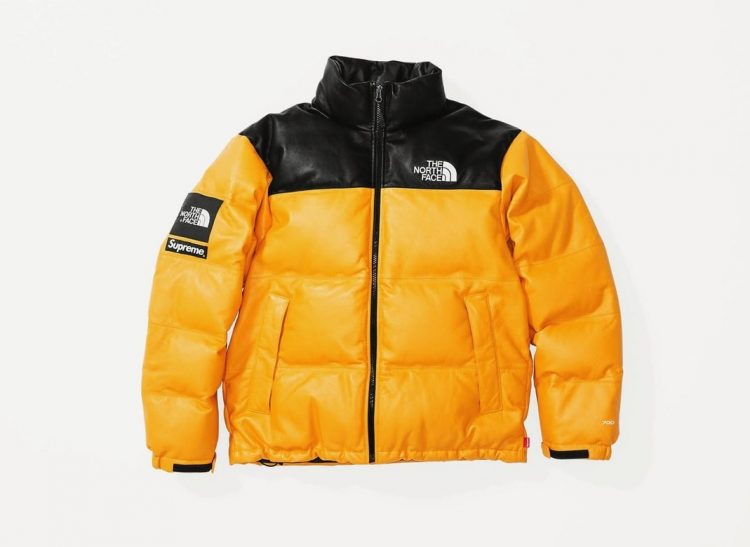 supreme x the north face jacket